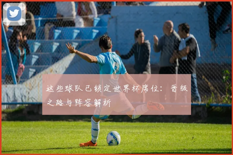 这些球队已锁定世界杯席位：晋级之路与阵容解析