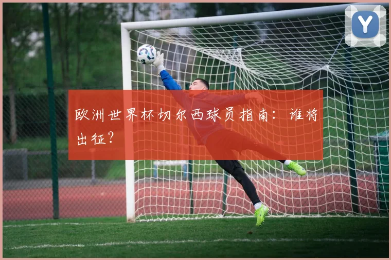 欧洲世界杯切尔西球员指南：谁将出征？