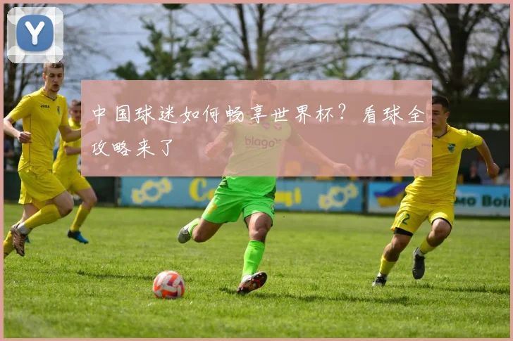 中国球迷如何畅享世界杯？看球全攻略来了