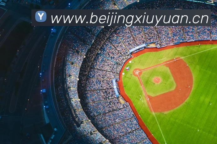 开云app官方下载苹果版APP 封面图